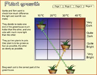 Plant Growth